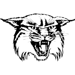 Davidson Wildcats Alternate Logo 1989 - 2010