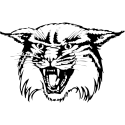 Davidson Wildcats Alternate Logo 1989 - 2010