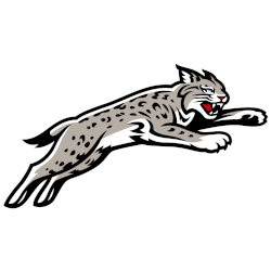 Davidson Wildcats Alternate Logo 2023 - Present