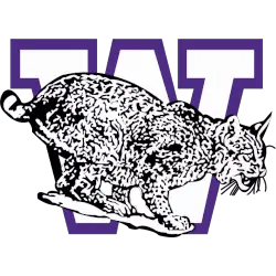 weber-state-wildcats-alternate-logo-1983-1996