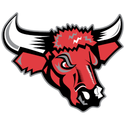 Nebraska-Omaha Mavericks Alternate Logo 1997 - 2004