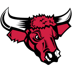 Nebraska-Omaha Mavericks Alternate Logo 2004 - 2011