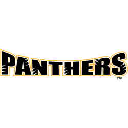 Wisconsin-Milwaukee Panthers Wordmark Logo 2002 - 2011