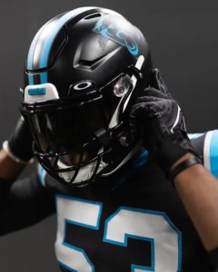 Carolina Panthers Black Helmet