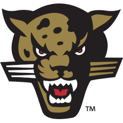 IUPUI Jaguars Alternate Logo 1998 - 2007