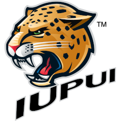 IUPUI Jaguars Alternate Logo 2007 - 2017