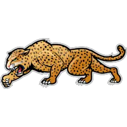 IUPUI Jaguars Alternate Logo 2007 - 2017