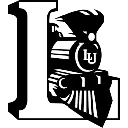 Lehigh Mountain Hawks Primary Logo 1989 - 1996