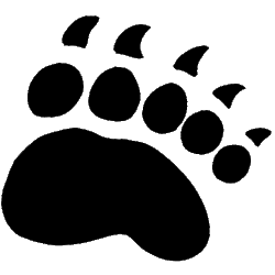 Maine Black Bears Alternate Logo 1999 - Present