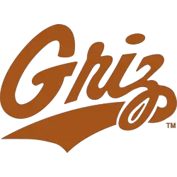 Montana Grizzlies Wordmark Logo 1988 - 1996