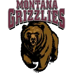 montana-grizzlies-primary-logo