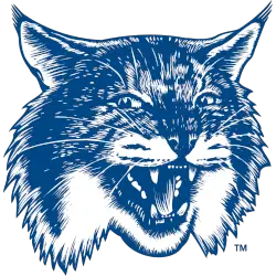 New Hampshire Wildcats Alternate Logo 1993 - 2000