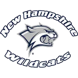 New Hampshire Wildcats Wordmark Logo 2000 - 2019