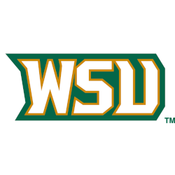 Wright State Raiders Wordmark Logo 1997 - 2017