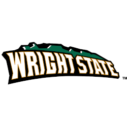 Wright State Raiders Wordmark Logo 2013 - 2017