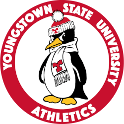 Youngstown State Penguins Alternate Logo 1979 - 2007