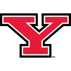 Youngstown State Penguins Alternate Logo 1993 - 2007