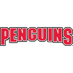 Youngstown State Penguins Wordmark Logo 2004 - Present