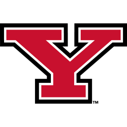 Youngstown State Penguins Primary Logo 2007 - Present