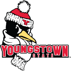 Youngstown State Penguins Alternate Logo 2007 - Present