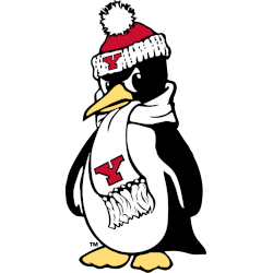 Youngstown State Penguins Alternate Logo 2007 - Present