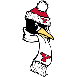 Youngstown State Penguins Alternate Logo 2012 - Present