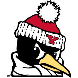 Youngstown State Penguins Alternate Logo 2012 - Present