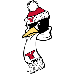 Youngstown State Penguins Alternate Logo 2012 - Present