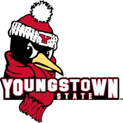 Youngstown State Penguins Alternate Logo 2018 - Present