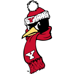 Youngstown State Penguins Alternate Logo 2018 - Present