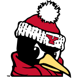 Youngstown State Penguins Alternate Logo 2018 - Present