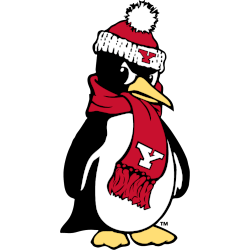 Youngstown State Penguins Alternate Logo 2018 - Present