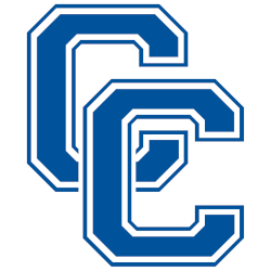 Central Connecticut Blue Devils Alternate Logo 2007 - 2011
