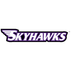Stonehill Skyhawks Wordmark Logo 2005 - 2017