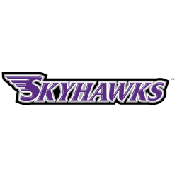 Stonehill Skyhawks Wordmark Logo 2005 - 2017
