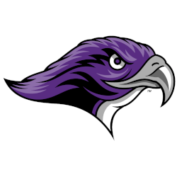 Stonehill Skyhawks Alternate Logo 2012 - Present
