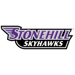 Stonehill Skyhawks Wordmark Logo 2017 - Present