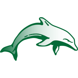 Le Moyne Dolphins Alternate Logo 1999 - 2008