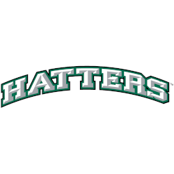 Stetson Hatters Wordmark Logo 2008 - 2018