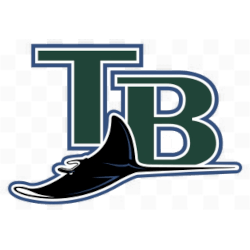 Tampa Bay Devil Rays Wordmark Logo 2005 - 2007