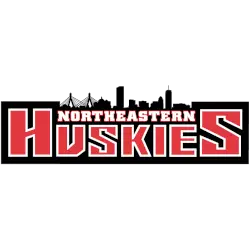 Northeastern Huskies Wordmark Logo 2001 - Present