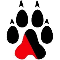 Northeastern Huskies Alternate Logo 2007 - Present