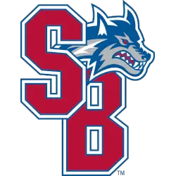 Stony Brook Seawolves Alternate Logo 2008 - Present
