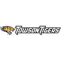 Towson Tigers Wordmark Logo 2011 - Present