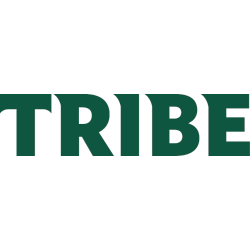 William & Mary Tribe Wordmark Logo 2018 - 2022