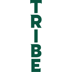 William & Mary Tribe Wordmark Logo 2022 - Present