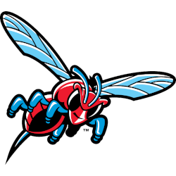 Delaware State Hornets Alternate Logo 2001 - 2013