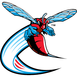 Delaware State Hornets Alternate Logo 2001 - 2023