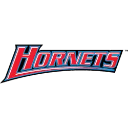 Delaware State Hornets Wordmark Logo 2001 - Present