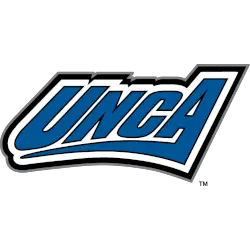 UNC Asheville Bulldogs Alternate Logo 2004 - 2013